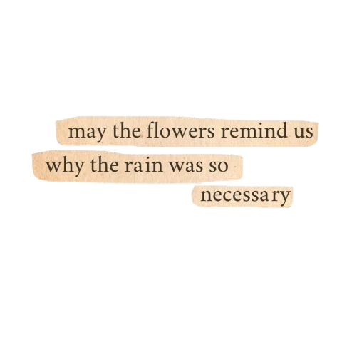Text 2